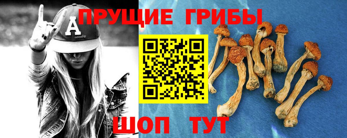Галлюциногенные грибы мицелий  Вход с VPN  Малоярославец 